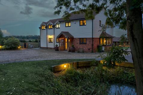 Sheeps Nighttime  (80).jpg