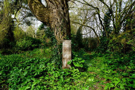 shieldbrook-22