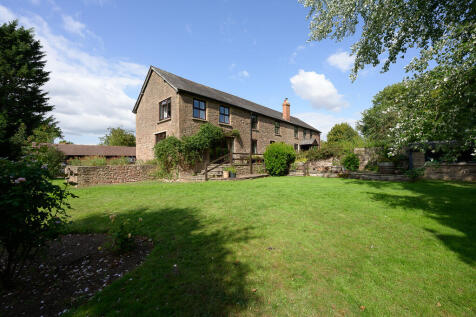little treddow-41