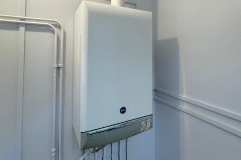Gas boiler