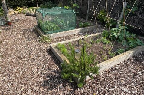 Vegetable garden