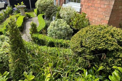 Front garden