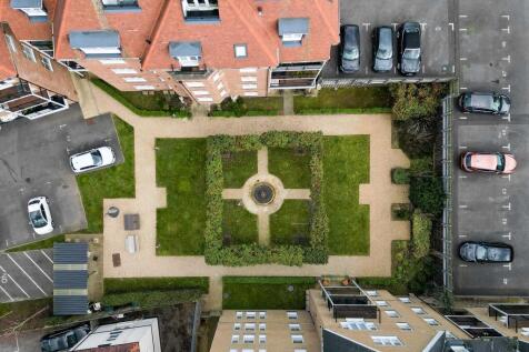 20250314-DJI_0892