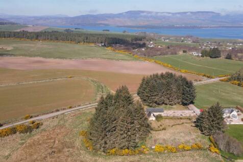 DJI_0890.JPG