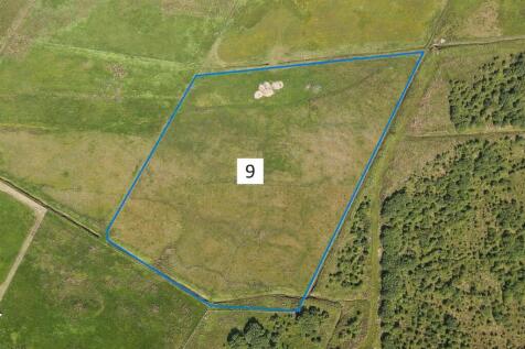 FIELD 9