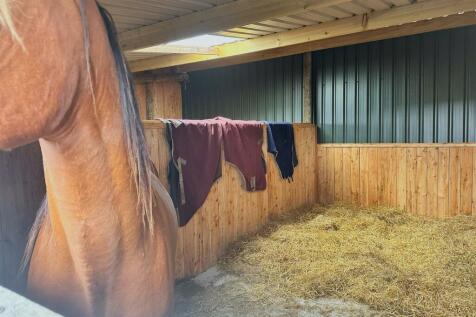 STABLE