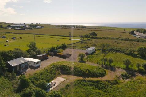 THE SITE