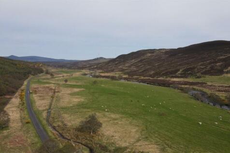 DJI_0037.JPG