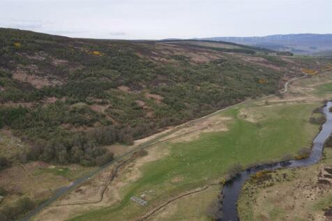 DJI_0026.JPG
