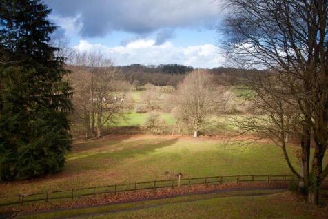 View from House 