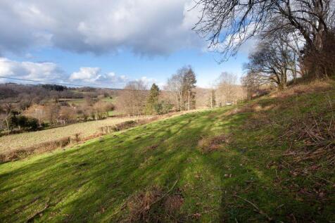 Smaller Paddock 