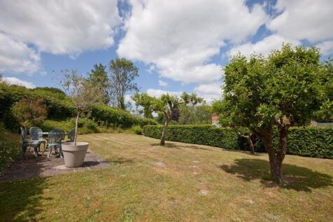 Garden (1)