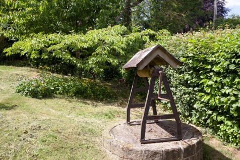 Garden (2)