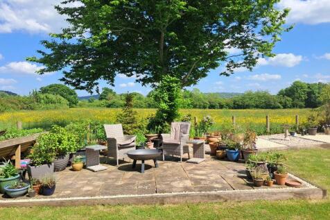 Garden with a View