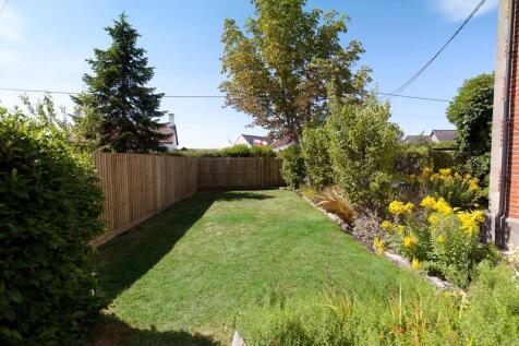 Garden (3)