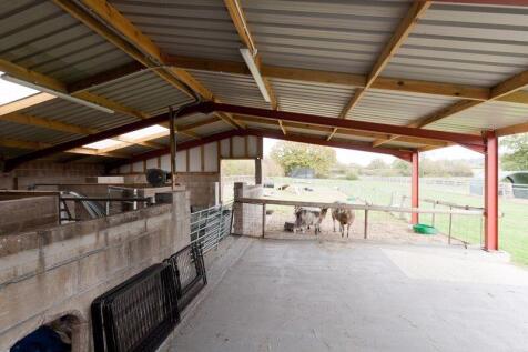 Barn (2)