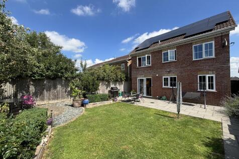 Garden Image 2