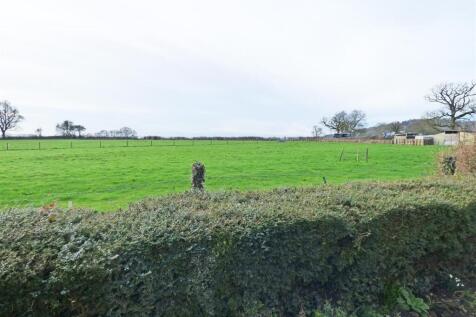 Garden View (2)