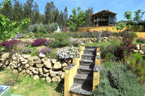 Property Image 53