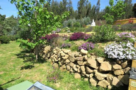 Property Image 54