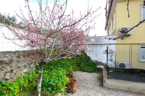 Property Image 60
