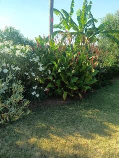 Property Image 64