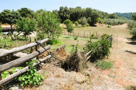 Property Image 61