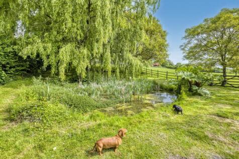 Property Image 42