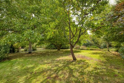 Property Image 56