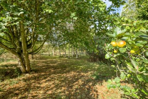 Property Image 60