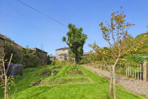 Communal Garden