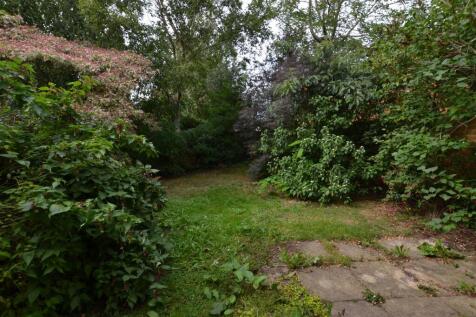 DSC_1519.JPG