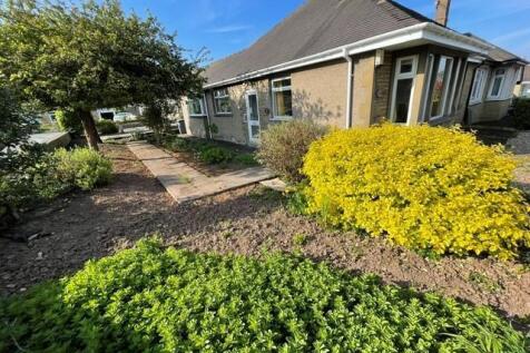 Side Garden