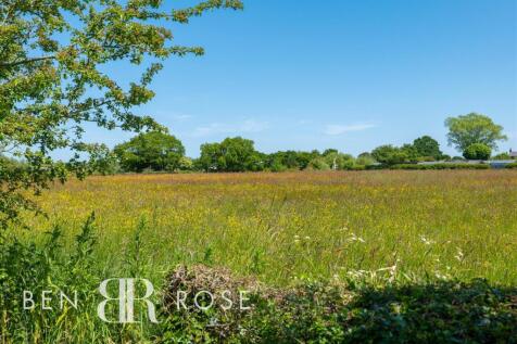 Rear Meadow
