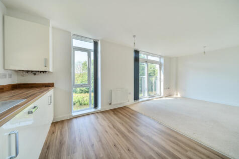 Kitchen / Living /Dining Room
