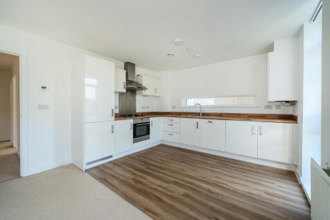 Kitchen / Living /Dining Room