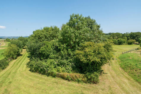 Communal Grounds