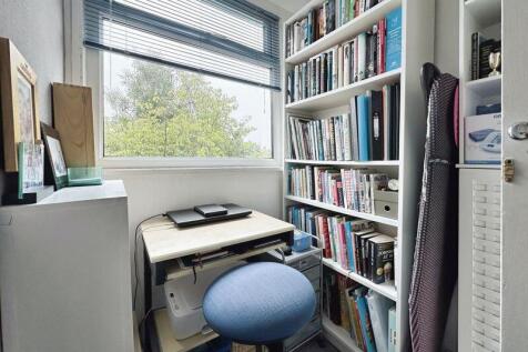 Study Area