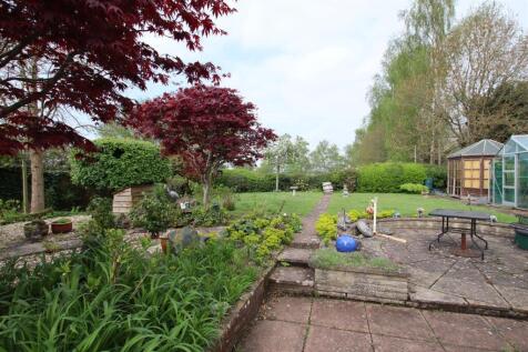 Garden_.JPG