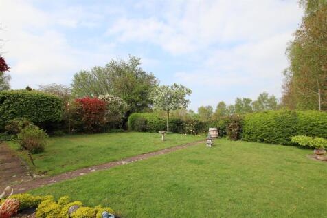 Garden.JPG