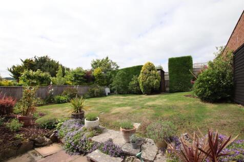 Garden.JPG