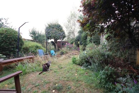 Garden_.JPG