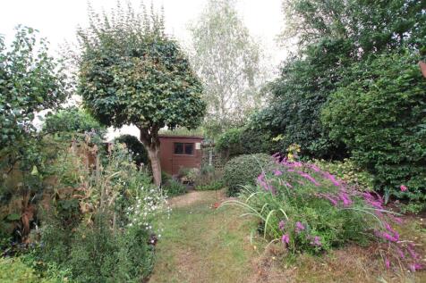 Garden.JPG