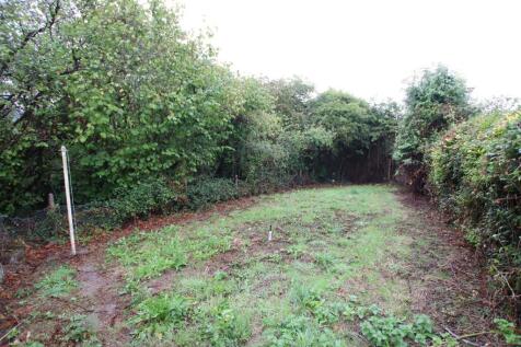 Garden.JPG
