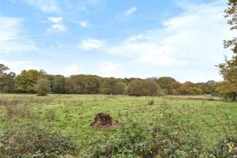 Fields At The Back