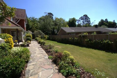 IMG_5826 garden