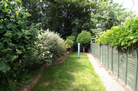 IMG_5897 - garden