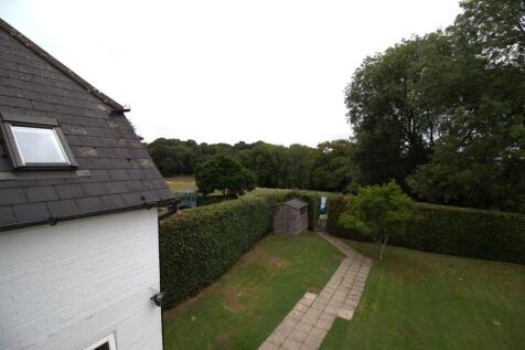 IMG_5944 garden2 