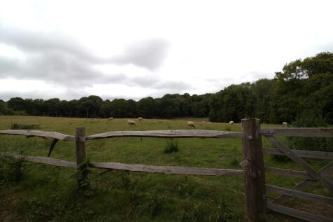 IMG_5929 field 