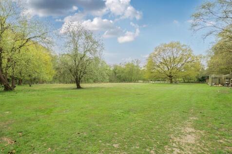 Field